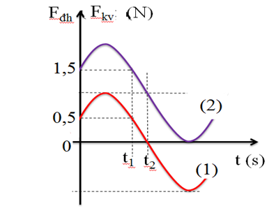 Một con lắc lò xo treo thẳng đứng, đang dao động điều hòa. Đồ thị bên biểu diễn lực hồi phục và lực đàn hồi tác dụng vào vật theo thời gian. Biết t2 –