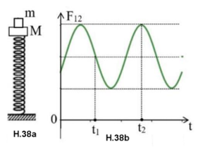 Một lò xo nhẹ có đầu dưới gắn vào định, đầu trên gắn với vật nhỏ M  , trên nó đặt vật nhỏ m   (hình H.38a). Bỏ qua mọi lực cản, lấy g=10m/s2   . Kích thích