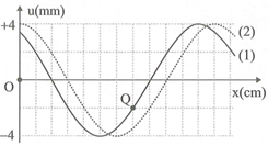 Một sóng hình sin đang lan truyền đến một sợi dây theo chiều dương của trục Ox. Đường (1) mô tả hình dạng của sợi dây tại thời điểm t1   và đường (2) mô