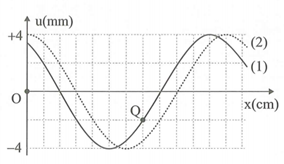 Một sóng hình sin đang lan truyền đến một sợi dây theo chiều dương của trục Ox. Đường (1) mô tả hình dạng của sợi dây tại thời điểm t1 và đường (2) mô