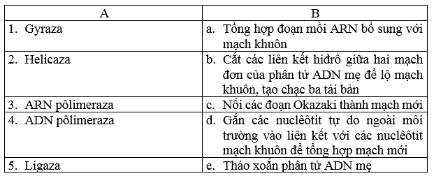 Nối nội dung tương ứng ở cột A với cột B