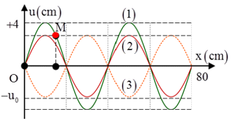 Sóng dừng trên một sợi dây OB mô tả như hình bên. Điểm O trùng với gốc tọa độ. Lúc t=0 hình ảnh sợi dây là (1), sau thời gian Δt   và 3Δt   kể từ lúc t