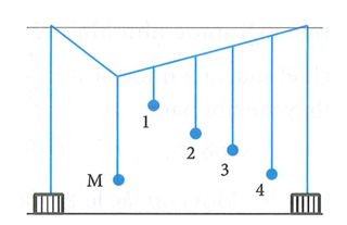 Thực hiện thí nghiệm về dao động cưỡng bức như hình bên. Năm con lắc đơn: (1), (2), (3), (4) và M (con lắc điều khiển) được treo trên một sợi dây. Ban