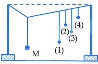 Thực hiện thí nghiệm về dao động cưỡng bức như hình bên. Năm con lắc đơn: (1), (2), (3), (4) và M (con lắc điều khiển) được treo trên một sợi dây. Ban