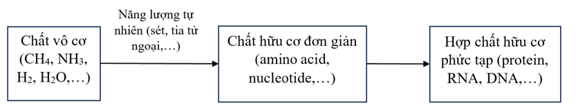 1. - Khái niệm: Tiến hóa hóa học là quá trình tổng hợp các phân tử hữu cơ, đại phân tử hữu cơ từ các chất vô cơ theo phương thức hóa học nhờ nguồn năng lượng tự nhiên.