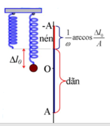 .

 

Độ dãn lò xo tại VTCB và tần số góc lần lượt là:

Thời gian lò xo nén trong 1 chu kì: