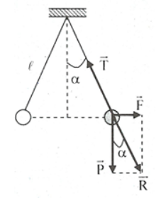 Lời  giải:

Các lực tác dụng lên mỗi quả cầu gồm: trọng lực \[\overrightarrow P \], lực tương tác tĩnh điện \[{\overrightarrow F _d}\] và lực căng của dây treo \[\overrightarrow T \].

Khi quả cầu cân bằng thì: \[\underbrace {\overrightarrow P + {{\overrightarrow F }_d}}_{\overrightarrow R } + \overrightarrow T = \overrightarrow 0 \Leftrightarrow \overrightarrow R + \overrightarrow T = \overrightarrow 0 \]

\[ \Rightarrow \overrightarrow R \]  có phương sợi dây \[ \Rightarrow \tan \alpha = \frac{F}{P} \Rightarrow F = P.\tan \alpha = P\frac{{\frac{R}{2}}}{{\sqrt {{\ell ^2} - {{\left( {\frac{R}{2}} \right)}^2}} }}\]

Nhận thấy: \[{\ell ^2} > > {\left( {\frac{R}{2}} \right)^2} \Rightarrow {\ell ^2} - {\left( {\frac{R}{2}} \right)^2} \approx {\ell ^2} \Rightarrow \sqrt {{\ell ^2} - {{\left( {\frac{R}{2}} \right)}^2}} \approx \ell \Rightarrow F \approx \frac{{PR}}{{2\ell }}\]

Lúc đầu: \[{F_1} = k\frac{{{q^2}}}{{{R^2}}} = \frac{{PR}}{{2\ell }}\,\,\,\,\left( 1 \right)\]

Giả sử ta chạm tay vào quả cầu 1, kết quả sau đó quả cầu 1 sẽ mất điện tích, lúc đó giữa hai quả cầu không còn lực tương tác nên chính sẽ trở về vị trí dây thẳng đứng. Khi chúng vừa chạm nhau thì điện tích của quả 2 sẽ truyền sang cho quả 1 và lúc này điện tích mỗi quả sẽ là: \[{q_1}