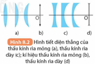 Đáp án đúng là:  A

Thấu kính phân kì có phần rìa dày hơn phần giữa

⇒  A - sai vì thấu kính có hai mặt đều là mặt lồi là thấu kính hội tụ

B, C,