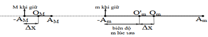 Đáp án: A

  \[T = \frac{{13}}{6} - \frac{1}{6} = 2s \to \omega = \frac{{2\pi }}{T} = \pi ({\rm{rad}}/{\rm{s}})\]

\[{x_m} = {A_m}\cos \left[ {\pi \left( {t - \frac{1}{6}} \right) + \frac{\pi }{2}} \right] = {A_m}\cos \left( {\pi t + \frac{\pi }{3}} \right)\]

Tại t = 0 thì  \[10 = {A_m}\cos \left( {\pi \cdot 0 + \frac{\pi }{3}} \right) \Rightarrow {A_m} = 20\;{\rm{cm}}\]

Tại  \[t = \frac{{13}}{{12}}s\]   thì - \[{A_M} = 20\cos \left( {\pi \cdot \frac{{13}}{{12}} + \frac{\pi }{3}} \right)\]\[ \Rightarrow {A_M} = 5\sqrt 6 - 5\sqrt 2 \;{\rm{cm}}\]

Tại  \[t = \frac{2}{3}s\]   thì  \[{x_m} = {A_m}\cos \left( {\pi \frac{2}{3} + \frac{\pi }{3}} \right) = - {A_m} \Rightarrow {x_M} = - {A_M}\]  (M cùng pha với m)   Giữ cố định điểm M thì vị trí cân bằng dịch sang trái một đoạn bằng  \(\left| {{x_M}} \right| = {A_M}\)

Biên độ của vật m lúc sau là  \({A_m} - {A_M} = 20 - (5\sqrt 6 - 5\sqrt 2 ) \approx 14,824\;{\rm{cm}}\)