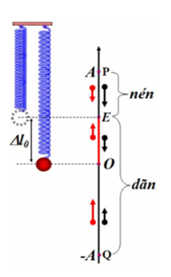 .

Trong dao động điều hòa khoảng thời gian diễn ra véc tơ

vận tốc và véc tơ gia tốc cùng chiều ứng với khoảng thời

gian vật chuyển động từ biên đến VTCB tức là từ biên âm

(-A) đến gốc O hoặc từ biên dương A đến gốc O và bằng T/4.

Theo bài ra: 

Khoảng thời gian lò xo bị nén bằng 