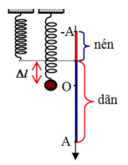 + Tần số góc của dao động: \(\omega = \frac{{2\pi }}{T} = \frac{{2\pi }}{{0,4}} = 5\pi \left( {{\rm{rad/s}}} \right)\)

+ Độ biến dạng của con lắc lò xo khi ở vị trí cân bằng:

\(\Delta \ell = \frac{g}{{{\omega ^2}}} = \frac{\pi }{{{{\left( {5\pi } \right)}^2}}} = 0,04{\rm{ }}m = 4{\rm{ }}cm\)

+ Biên độ 8 cm

+ Nhận thấy \(\Delta \ell < A \Rightarrow {F_{d{h_{\min }}}} = 0\) tại \(x = - \Delta \ell = - 4cm\)

Thời gian ngắn nhất kể từ khi t = 0 ( x = 0; v >0) đến khi lực đàn hồi của lò xo có độ lớn cực tiểu là:

\({t_{\min }} = \frac{T}{2} + \frac{T}{{12}} = \frac{7}{{30}}\left( s \right)\)