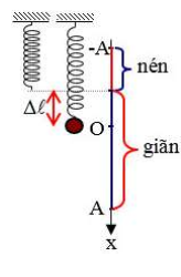 Một con lắc lò xo treo thẳng đứng ở nơi có gia tốc trọng trường là g=10m/s2 . Lấy π2 =10. Kích thích cho con lắc dao động với phương trình x=5cos(5pit). Khi vật ở vị trí cao nhất thì lò xo  (ảnh 1)