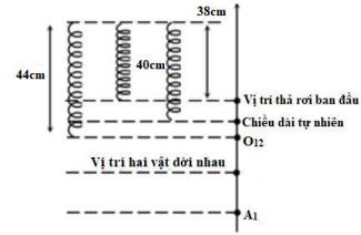 Một hệ gồm hai vật giống nhau có khối lượng \[{m_1} = {m_2} = 200g\] dính với nhau bởi một lớp keo mỏng. Một lò xo có chiều dài tự nhiên là (ảnh 1)