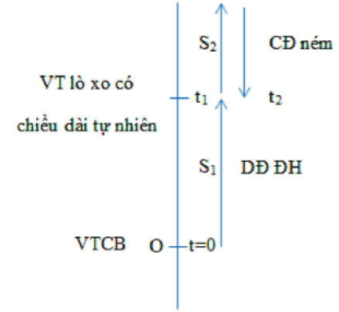 Một hệ gồm một lò xo nhẹ có đầu trên gắn cố định, đầu dưới gắn vào sợi dây mềm, không giãn có treo vật nhỏ khối lượng  (ảnh 3)