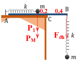 \(\omega = \sqrt {\frac{k}{m}} = \sqrt {\frac{{15}}{{0,8}}} = 2,5\sqrt 3 \)   (rad/s)

\(\Delta {l_0} = \frac{{mg}}{k} = \frac{{0,8.10}}{{15}} = \frac{8}{{15}}m > A = 0,16m\)

\( \to \)  lò xo luôn dãn  \( \to {F_{dh}}\)   tác dụng vào B luôn hướng xuống

Để ván bị nghiêng thì theo quy tắc momen lực đối với C có

\(k\left( {\Delta {l_0} + {x_2}} \right).BC > M.g.0,2 + {m_1}.g.\left( {0,2 - {x_1}} \right)\)

\( \Rightarrow 15.\left( {\frac{8}{{15}} + 0,16\cos \left( {2,5\sqrt 3 t + \pi } \right)} \right).0,4 \ge 1,2.10.0,2 + 0,8.10.\left[ {0,2 - 0,16\cos \left( {2,5\sqrt 3 t - \frac{\pi }{2}} \right)} \right]\)

\( \Rightarrow 1,6\cos \left( {2,5\sqrt 3 t - 2,2143} \right) \ge 0,8 \Rightarrow \cos \left( {2,5\sqrt 3 t - 2,2143} \right) \ge \frac{1}{2}\)

Trong 1 chu kì thời gian ván nghiêng là  \(\Delta t = \frac{\alpha }{\omega } = \frac{{2\pi /3}}{{2,5\sqrt 3 }} \approx 0,48s\)  .