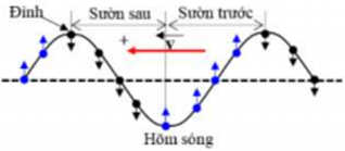 Phương pháp: 

Sử dụng hình vẽ:

Sườn đón sóng ⇒ các phần tử môi trường đi xuống. 

Sườn không đón sóng ⇒ các phần tử môi trường đi lên. 

Cách giải:

Sóng cơ lan truyền ngược chiều dương của trục tọa độ ⇒ Sóng truyền từ phải sang trái.

Điểm E, B nằm trên sườn đón sóng ⇒ E, B ↓

C ở đáy sóng ⇒ C ↑ 

A nằm ở đỉnh sóng ⇒ C ↓ 

D nằm ở sườn không đón sóng ⇒ D ↑

⇒ Điểm A, B, E đi xuống còn điểm C, D đi lên  