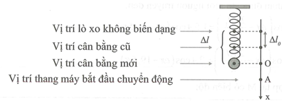 Trong thang máy có treo một con lắc lò xo với độ cứng 25 N/m (ảnh 1)