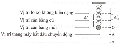 Trong thang máy có treo một con lắc lò xo với độ cứng 25 N/m, vật nặng có khối lượng 400g (ảnh 1)