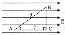 Trong mỗi ý a), b), c), d), ở mỗi câu, thí sinh chọn đúng hoặc sai.

Tam giác ABC vuông tại C đặt trong điện trường đều \(\overrightarrow {\rm{E}} \) có