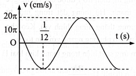 Trong mỗi ý a), b), c), d), ở mỗi câu, thí sinh chọn đúng hoặc sai.  

Vật nhỏ có khối lượng 200 g dao động điều hoà dọc theo trục Ox. Đồ thị biểu diễn