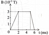 Từ trường xuyên qua một vòng dây tròn bán kính 10 cm thay đổi theo thời gian như hình vẽ bên. Biết từ trường vuông góc với mặt phẳng vòng dây.    

Xét