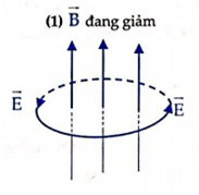 Xung quanh từ trường B→  biến thiên có điện trường xoáy E→  với đường sức điện bao quanh các đường sức từ có chiều cho như hình vẽ. Hỏi trường hợp nào