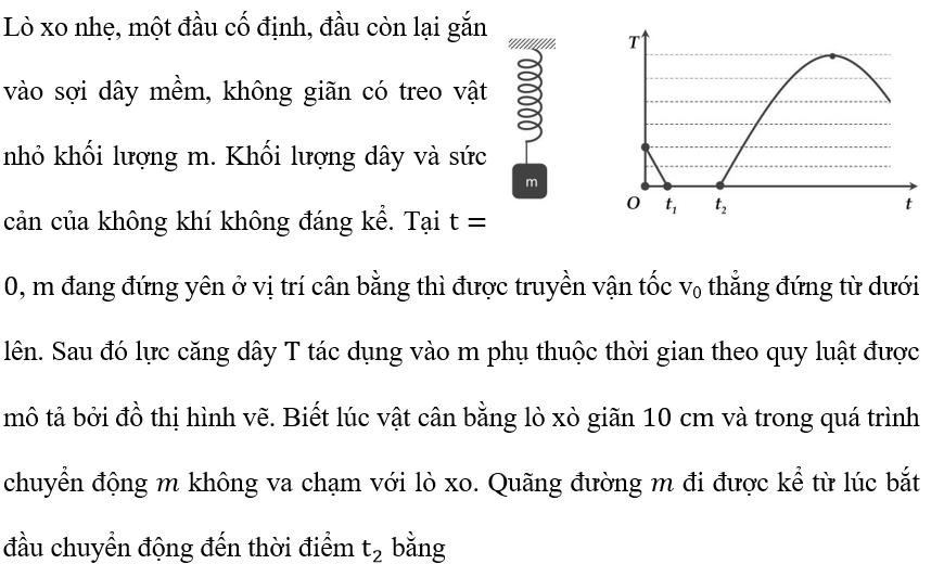 Lò xo nhẹ, một đầu cố định, đầu còn lại gắn vào sợi dây mềm, không giãn có treo vật nhỏ khối lượng m (ảnh 1)