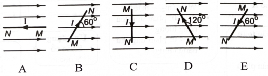 Các hình sau đây mô tả đoạn dòng điện MN đặt trong mặt phẳng chứa các đường sức từ của một từ trường đều ở các vị trí khác nhau.  Chọn một hay một số hình