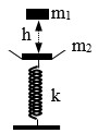 Cho cơ hệ như hình vẽ, lò xo có khối lượng không đáng kể có độ cứng  k = 50N/m, vật  m1 = 200g vật m2 = 300g. Khi m2 đang cân bằng ta thả m1 rơi tự do