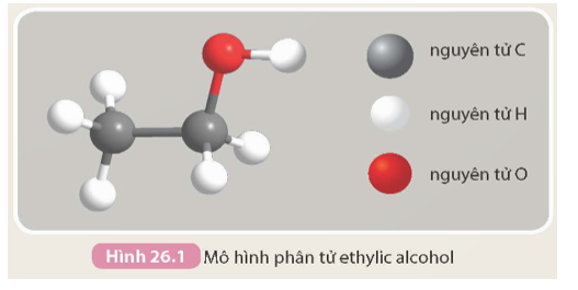 Dựa vào mô hình phân tử ethylic alcohol (Hình 26.1), hãy viết công thức phân tử, công thức cấu tạo thu gọn của ethylic alcohol (ethanol) và so sánh với