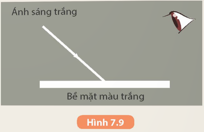  Em hãy biểu diễn các tia sáng đến mắt đối với vật ta quan sát thấy màu trắng (Hình 7.9).