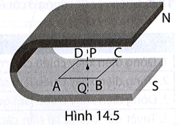 Giải thích tại sao khi cho khung dây dẫn ABCD đặt trong từ trường của nam châm như Hình 14.5 dịch chuyển từ cực Nam đến cực Bắc theo trục PQ thì trong