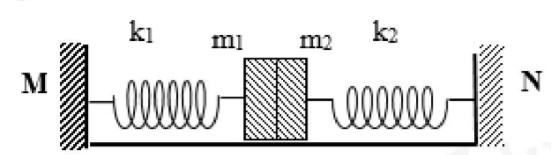 Hai con lắc lò xo có k1=k2=k;  vật nặng cùng khối lượng  m1=m2=m(như hình vẽ).  Hai vật đặt sát nhau, khi hệ nằm cân bằng các lò xo không biến dạng, chọn