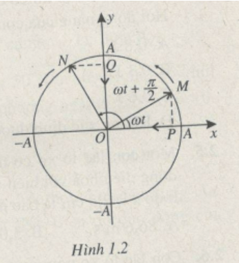 Hai điểm M và N cùng chuyển động đều trên một đường tròn tâm O, bán kính, bán kính A, theo cùng một chiều và với cùng vân tốc góc ω (H.1.2). Hình chiếu