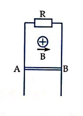 Hai thanh kim loại song song, thẳng đứng có điện trở không đáng kể, một đầu nối vào điện trở R=0,5Ω.  Một đoạn dây dẫn AB, độ dài l=14cm,  khối lượng m=2g, 