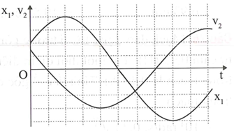 Hai vật M1 và M2 dao động điều hòa cùng tần số. Hình bên là đồ thị biểu diễn sự phụ thuộc của li độ x của M1 và vận tốc v2 của M2 theo thời gian t. Hai