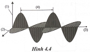 Hình 4.4 minh hoạ một sóng điện từ khi truyền trong không gian. Ghi chú các yếu tố theo thứ tự (1), (2), (3), (4) nào dưới đây đúng?