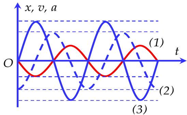 Một chất điểm dao động điều hòa trên trục Ox. Đồ thị biểu diễn vận tốc, gia tốc theo thời gian có dạng như hình bên. Đường (1), (2), (3) lần lượt biểu