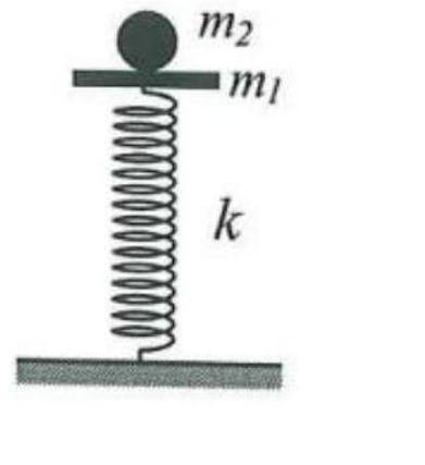 Một con lắc lò xo đặt thẳng đứng gồm lò xo nhẹ có độ cứng k=100N/m   và một vật nhỏ m1   có khối lượng 200g , một đầu lò xo được gắn chặt vào sàn. Ban