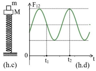 Một lò xo nhẹ có đầu dưới gắn vào giá cố định, đầu trên gắn với vật nhỏ  \(M\)  , trên nó đặt vật nhỏ  \(m\)   (như hình h.c). Bỏ qua mọi lực cản, lấy
