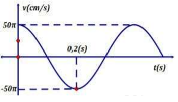 Một vật dao động điều hòa có vận tốc phụ thuộc vào thời gian như hình vẽ. Biên độ của dao động là 