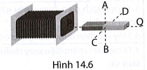 Quan sát Hình 14.6 và cho biết nam châm quay theo trục nào thì trong cuộn dây dẫn kín xuất hiện dòng điện cảm ứng xoay chiều.