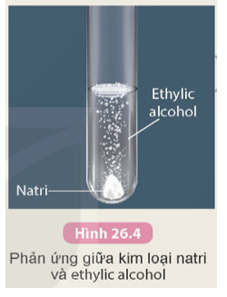 Thí nghiệm: Phản ứng giữa natri và ethylic alcohol

Chuẩn bị:  ethylic alcohol tuyệt đối, kim loại natri, ống nghiệm, panh.

Tiến hành:

Cho khoảng 5 mL