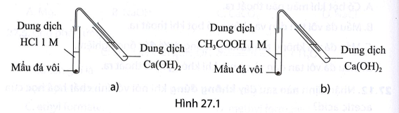 Tiến hành hai thí nghiệm như Hình 27.1, hỏi ống nghiệm chứa dung dịch Ca(OH)2 nào nhanh bị đục hơn? Giải thích và viết PTHH của các phản ứng xảy ra.