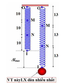 .

Độ dãn cực đại của lò xo: 

Tỉ số lực: 