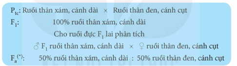 Đáp án đúng là:  A

Trong thí nghiệm phát hiện ra hiện tượng di truyền liên kết, Morgan đã dùng phép lai phân tích.