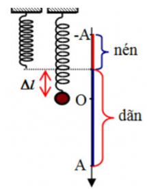 Một con lắc lò xo treo thẳng đứng. Kích thích cho con lắc dao động điều hòa theo (ảnh 1)