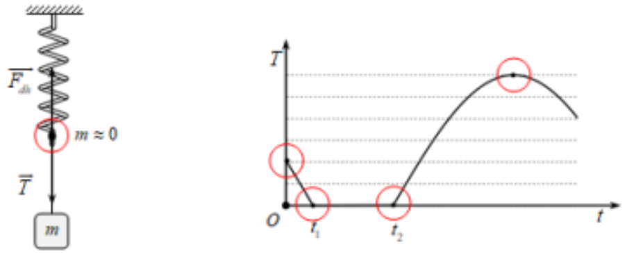 Một hệ gồm một lò xo nhẹ có đầu trên gắn cố định, đầu dưới gắn vào sợi dây mềm, không giãn có treo vật nhỏ khối lượng  (ảnh 2)