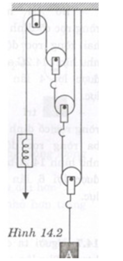 Cho hệ thống ròng rọc biểu diễn như hình vẽ. Hệ thống ròng rọc này cho lợi số lần về lực là