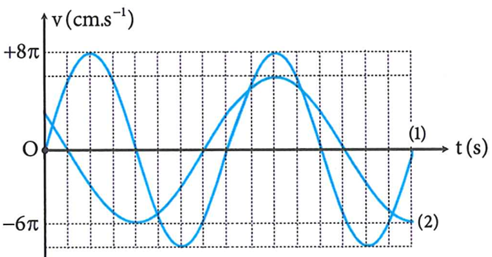 Đồ thị vận tốc - thời gian của hai con lắc (1) và (2) được cho bởi hình vẽ. Biết biên độ của con lắc (2) là 9 cm. Tốc độ trung bình của con lắc (1) kể